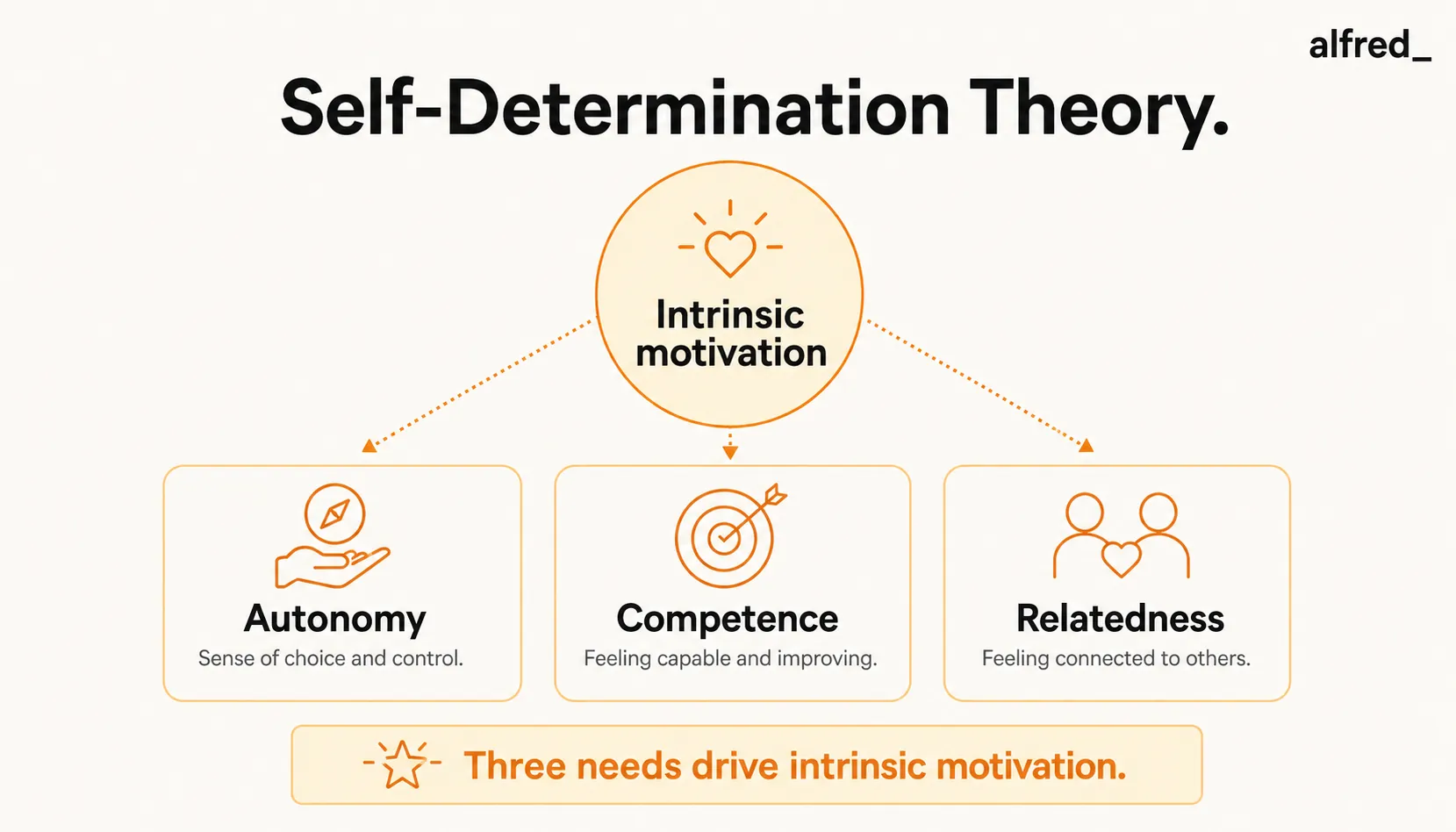 Self-Determination Theory: the three psychological needs behind intrinsic motivation, Autonomy, Competence, and Relatedness.